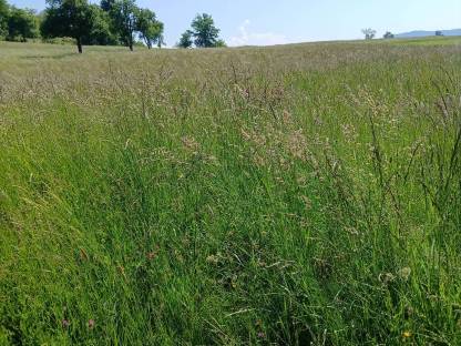 Bild 5:Heu Rundballen