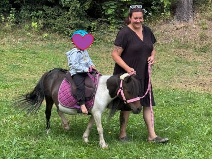 Bild 2:Pony Reitbeteiligung