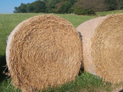 Rundballenstroh