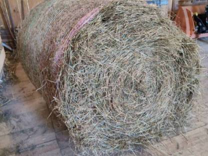 Bild 4:Heu Bzk. Voitsberg