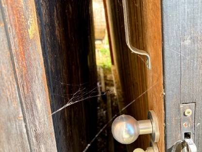 Bild 3:2 Holztore groß, stabil, intakt