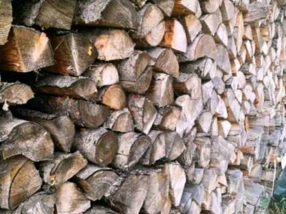 Bild 2:Fichtenbrennholz