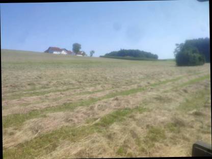 Bild 2:Heu 2025, 1. Schnitt und 2. Schnitt