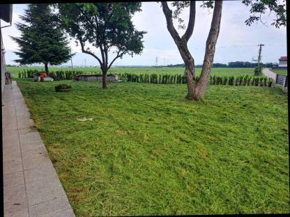 Bild 5:Mulcharbeiten, Mäharbeit, Böschungsmähen