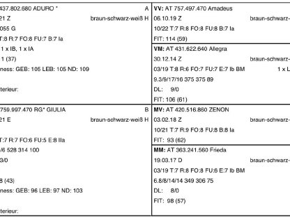 Bild 3:Trächtige HB-Tauernscheckenziege 'GRACIE'