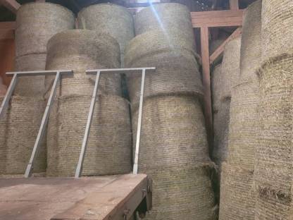 Bild 3:Verkaufe Heuballen 1,30 m