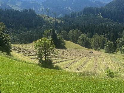 Heuballen