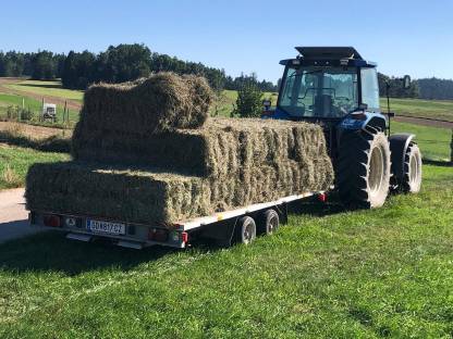 Bild 2:Bio Heu