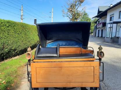 Bild 8:Vis-à-vis Kutsche