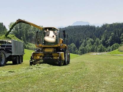 Bild 3:Häcksler New Holland FX40