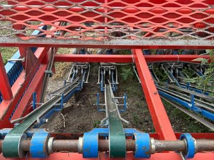 Bild 8:Ferrari Jungpflanzen-Setzmaschine Rotostrapp 8-reihig