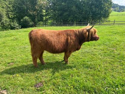 Bild 4:Melita vom Kaiserhof