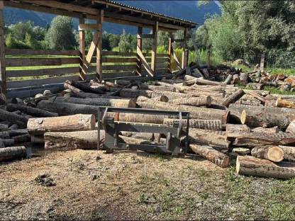 Bild 6:Brennholz