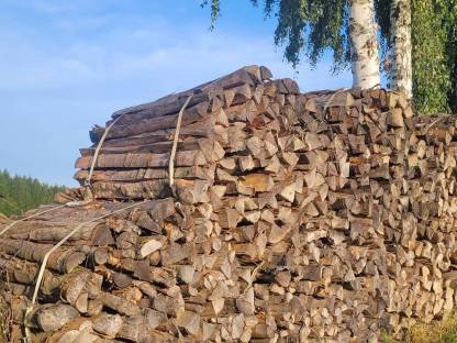 Brennholz