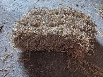 Suche Heu oder Stroh in kleinen Ballen 100- 200 Stück