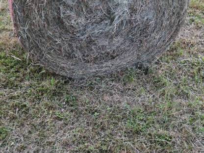 Grummet Ballen 2. Schnitt