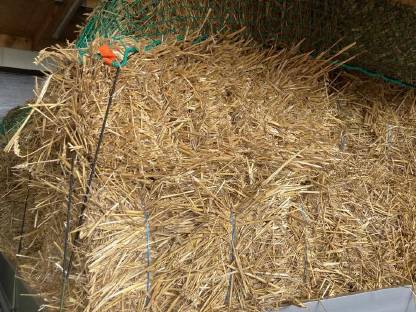 Bild 3:Verkaufe kleine eckige Strohballen