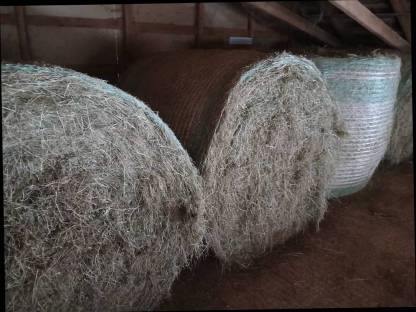 Bild 2:Heu- bzw. Grummet-Ballen