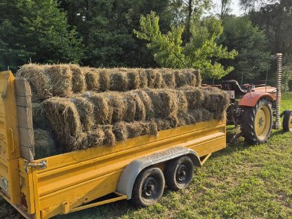Bild 3:Kleine Heuballen, Quader-Heuballen, Ernte August 2025