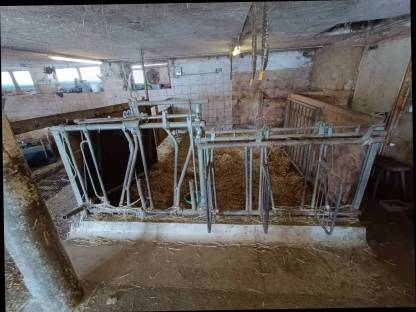 Bild 2:Aufstallung selbstfangend für 10 Bio-Rinder