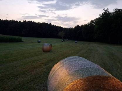 Bild 2:Siloballen und Heuballen