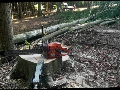 Bild 4:Forst-Service und Brennholz