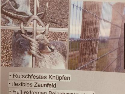 Bild 9:TORNADO Wildzaun, Wildschutzzaun, Wildschutz Zaun