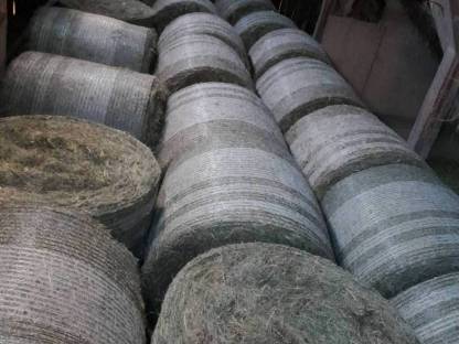 Bild 2:BIO Austria Heuballen