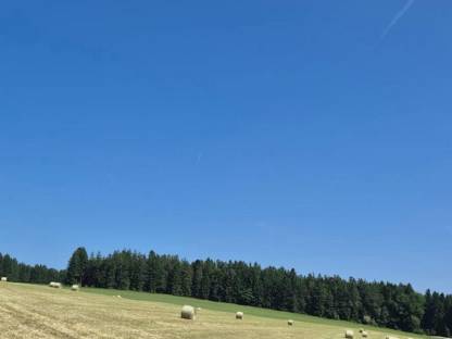 Heuballen