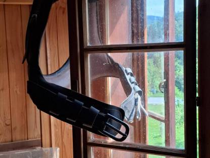 Bild 2:Kummet Einspänner