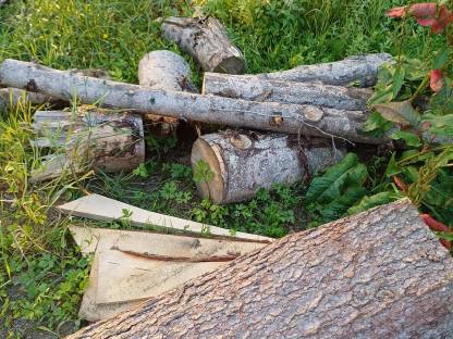 Bild 3:Brennholz