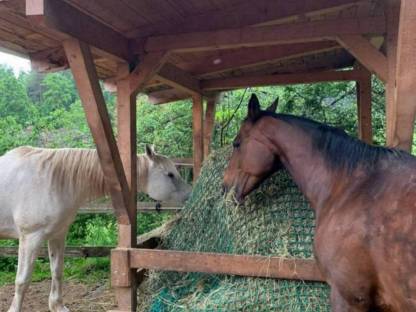 Bild 7:Heu Grummet Rundballen 1. und 2. Schnitt