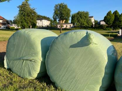 Bild 2:Verkaufe Heu, Grummet, Silageballen (2025)