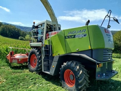 Bild 4:Claas Jaguar 890 Profistar