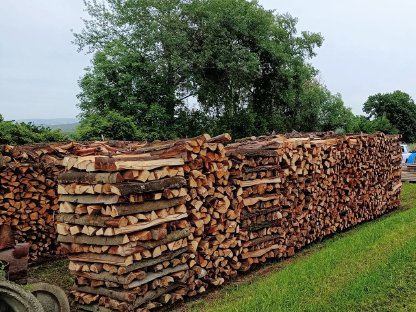Brennholz Eiche/Kastanie/Akazie/Buche/Kiefer/Fichte