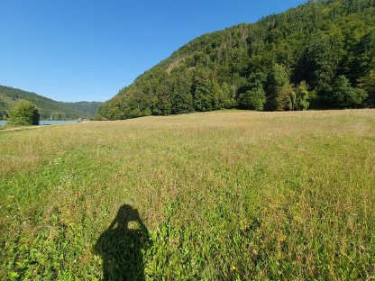 Bild 3:Bio-Pferdeheu