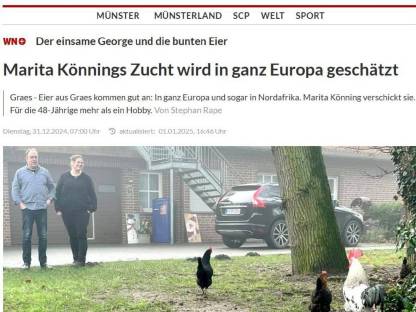 Bild 9:Naturbunte Bruteier Grünleger Blauleger Maran bunte Eier