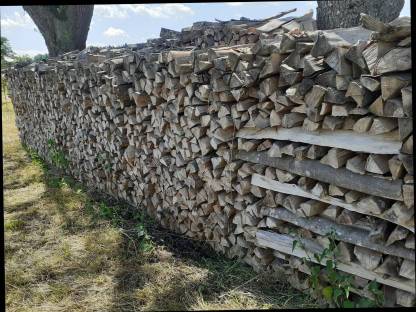 Brennholz