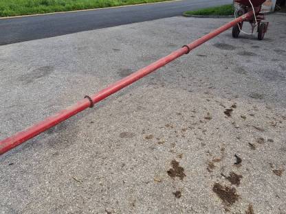 Bild 2:Körnerschnecke