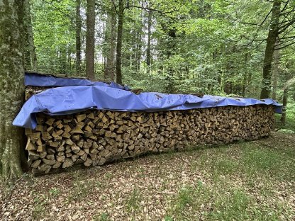 Brennholz - Hartholz