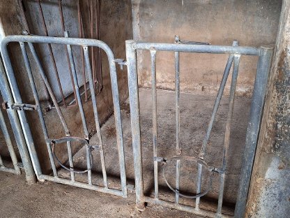 Bild 3:Aufstallung für Kälber