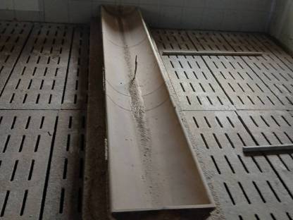 Bild 4:Schweinemast, Nirosteher, Kunststoffwände, Futtertröge