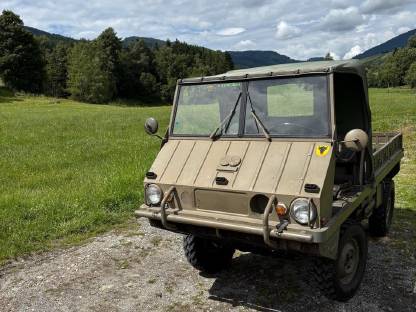 Bild 2:Puch Haflinger