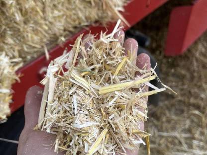 Bild 3:Stroh Ernte 2025 – perfekt für Rinder, Schweine und Pferde