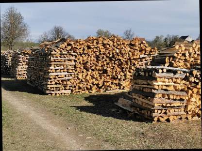 Brennholz hart und weich