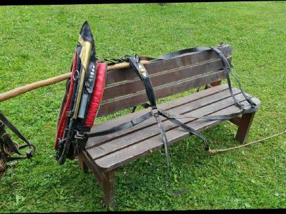 Bild 2:Haflinger Kummt-Geschirr