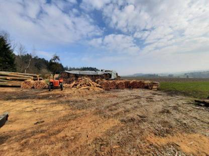 Bild 2:Brennholz Buche