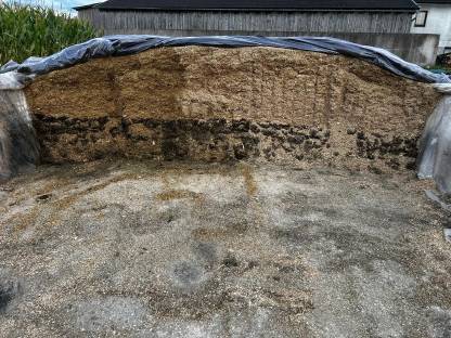 Bild 2:Silomais-Grasballen gemischt