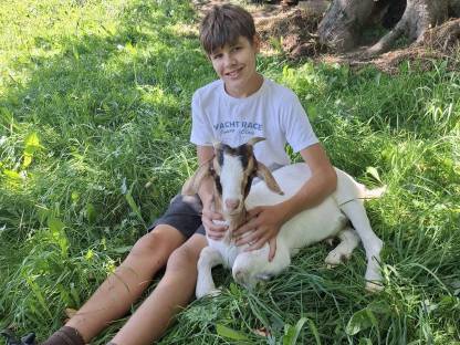 Bild 2:Jungziegen zu verkaufen