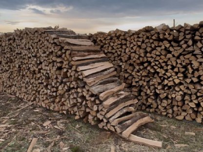 Brennholz Eiche